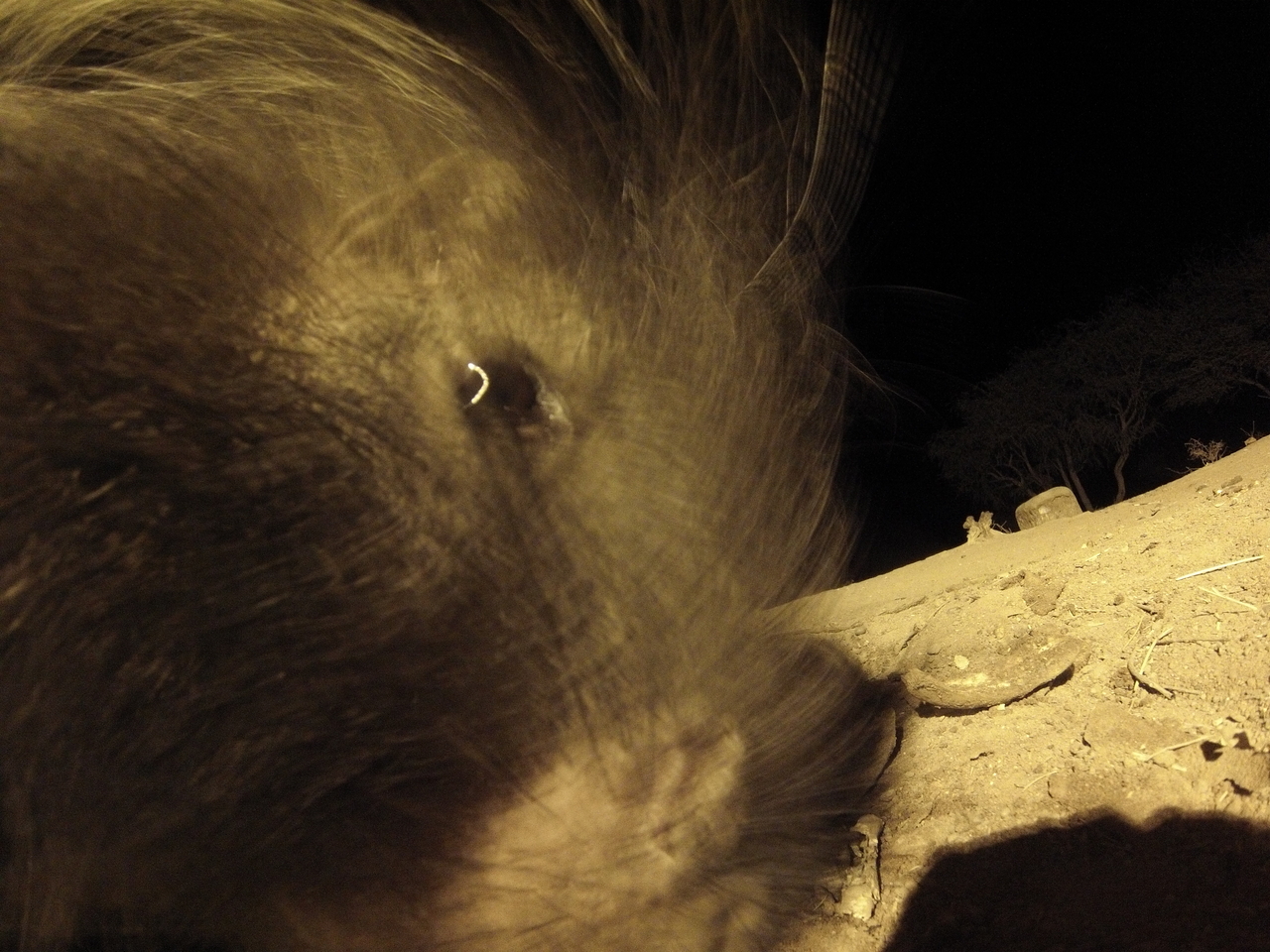 [12119] 2016_06_23_20_10_33_Africa_Hero3-Silver_Edition_IMG__01148.jpg