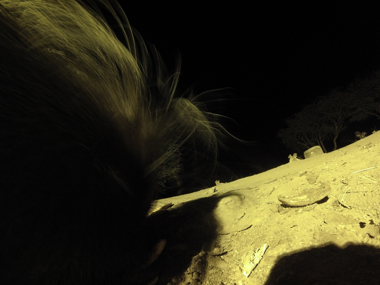 [12179] 2016_06_23_20_11_25_Africa_Hero3-Silver_Edition_IMG__01609.jpg