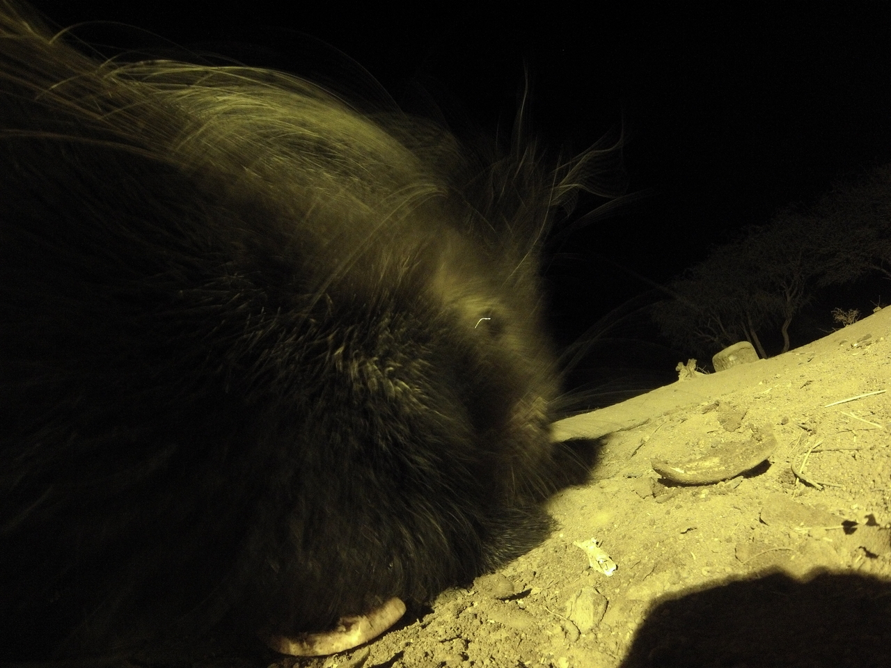 [12187] 2016_06_23_20_11_33_Africa_Hero3-Silver_Edition_IMG__00217.jpg