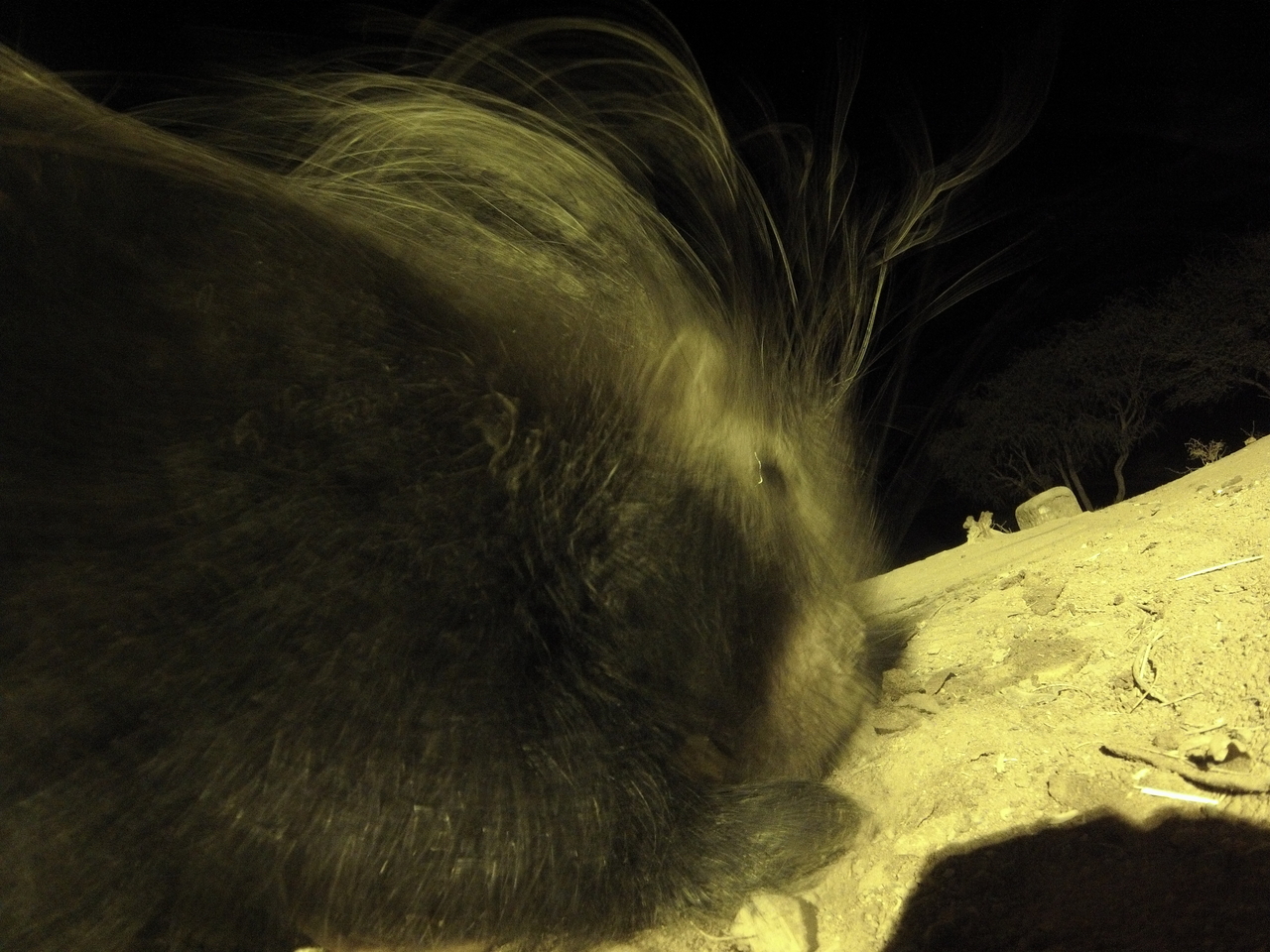 [12197] 2016_06_23_20_11_41_Africa_Hero3-Silver_Edition_IMG__01613.jpg