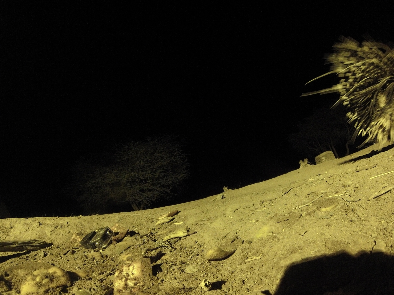 [12313] 2016_06_23_20_13_16_Africa_Hero3-Silver_Edition_IMG__00243.jpg