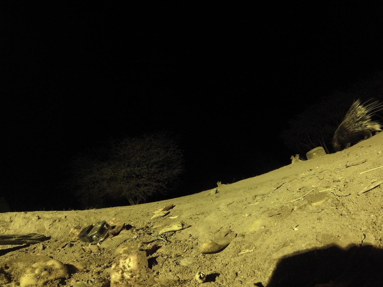 [12340] 2016_06_23_20_13_39_Africa_Hero3-Silver_Edition_IMG__01195.jpg