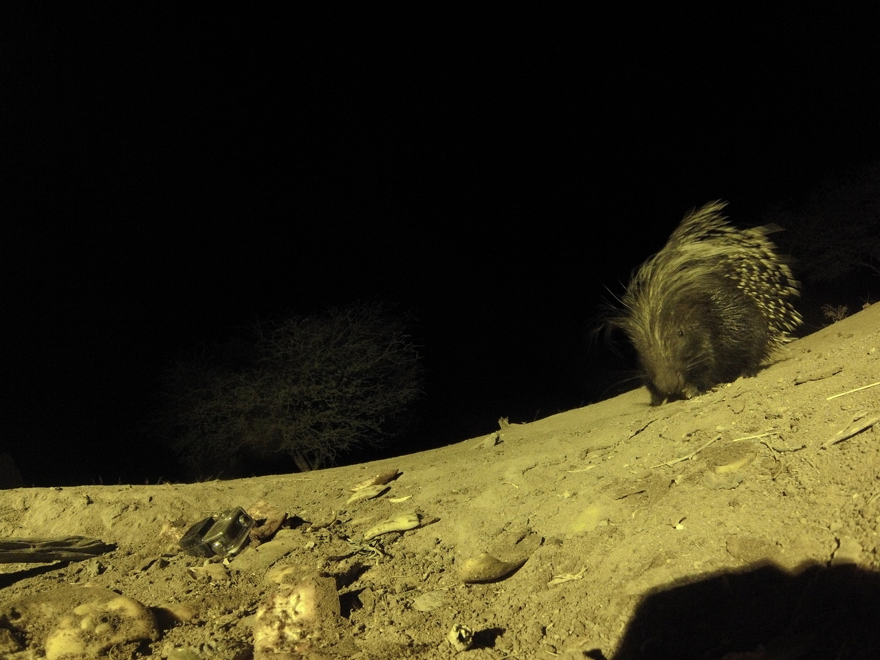 [12353] 2016_06_23_20_13_48_Africa_Hero3-Silver_Edition_IMG__01198.jpg