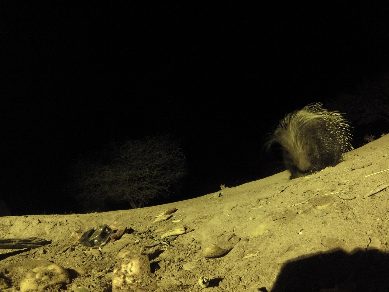 [12366] 2016_06_23_20_13_58_Africa_Hero3-Silver_Edition_IMG__01201.jpg