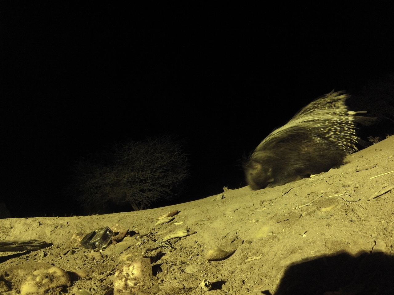 [12375] 2016_06_23_20_14_06_Africa_Hero3-Silver_Edition_IMG__00257.jpg