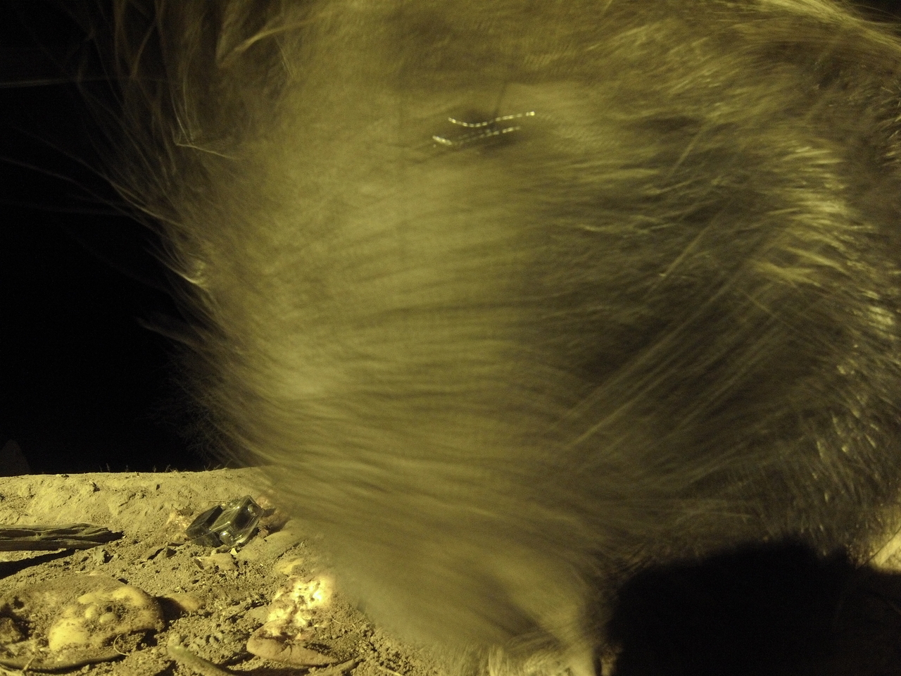 [12450] 2016_06_23_20_15_09_Africa_Hero3-Silver_Edition_IMG__00273.jpg