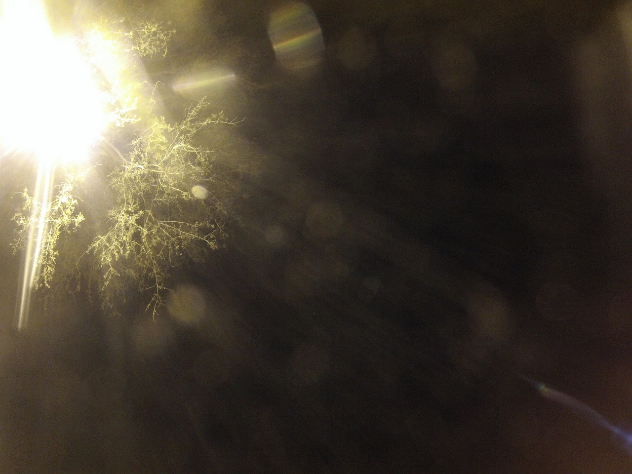 [12528] 2016_06_23_20_16_12_Africa_Hero3-Silver_Edition_IMG__01236.jpg