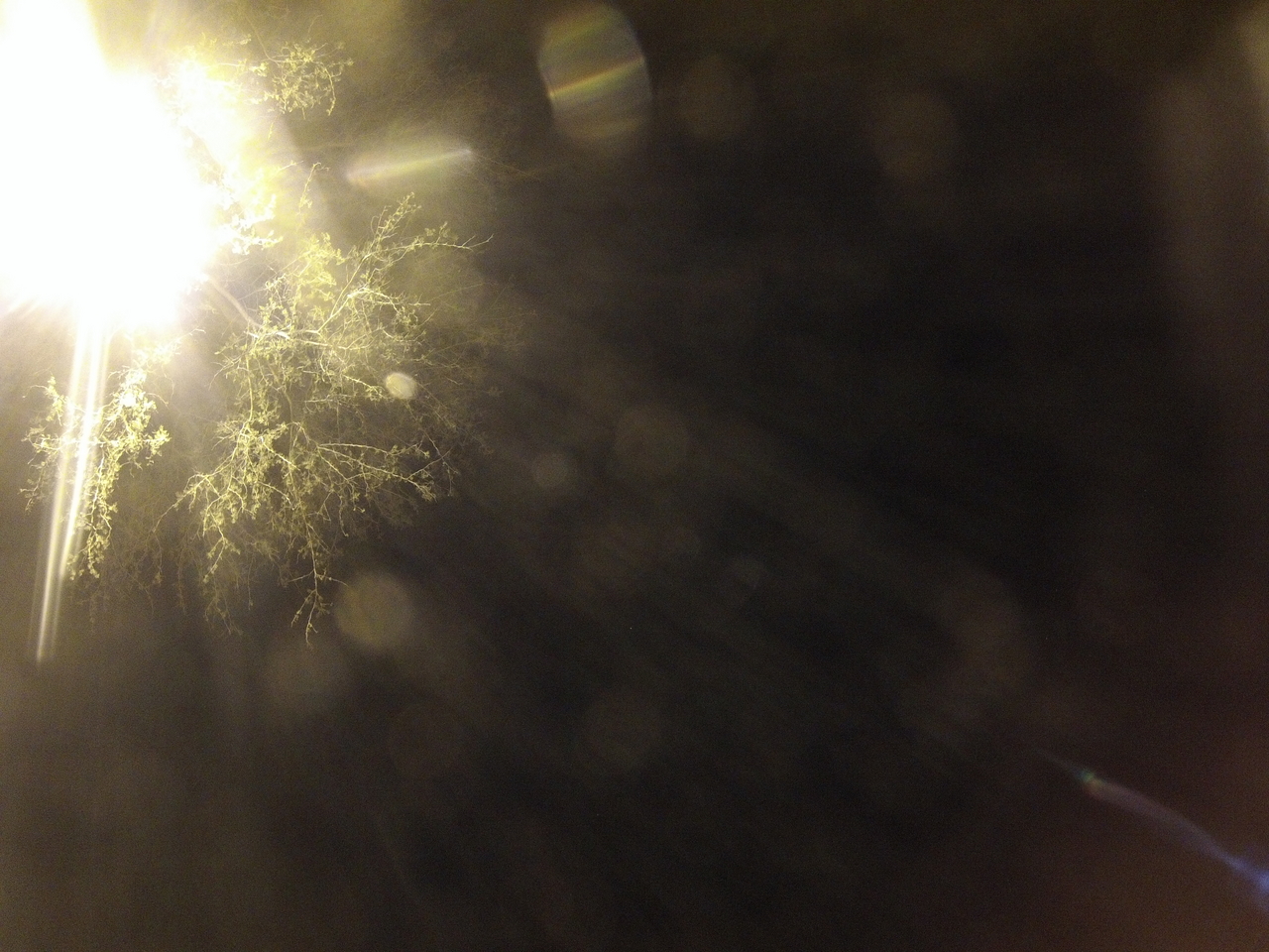 [12550] 2016_06_23_20_16_30_Africa_Hero3-Silver_Edition_IMG__01689.jpg