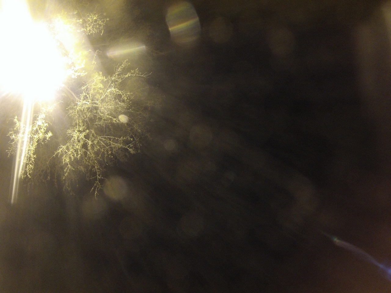 [12613] 2016_06_23_20_17_22_Africa_Hero3-Silver_Edition_IMG__01255.jpg