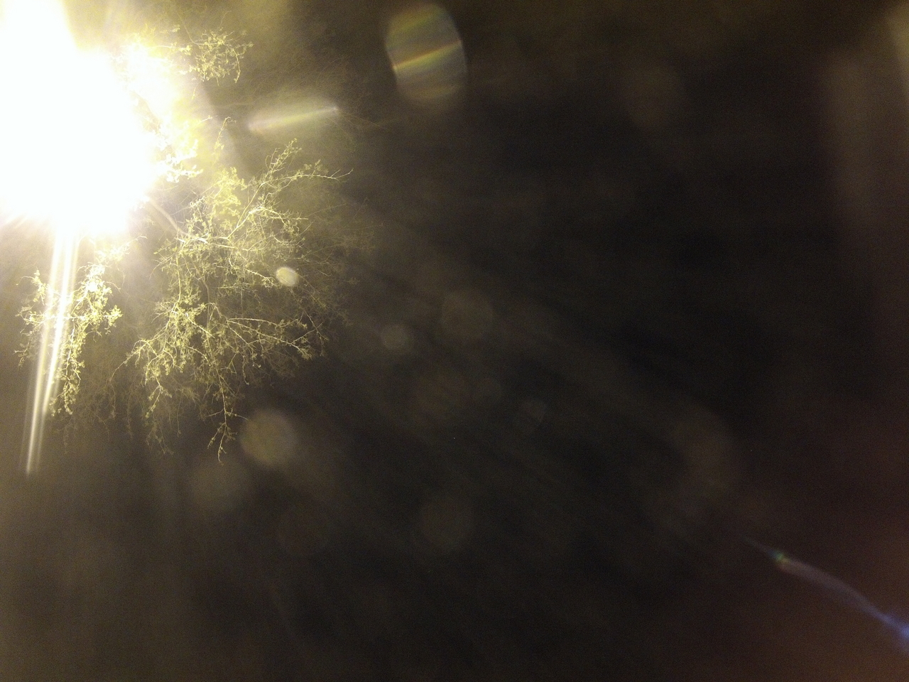 [13049] 2016_06_23_20_23_39_Africa_Hero3-Silver_Edition_IMG__01798.jpg