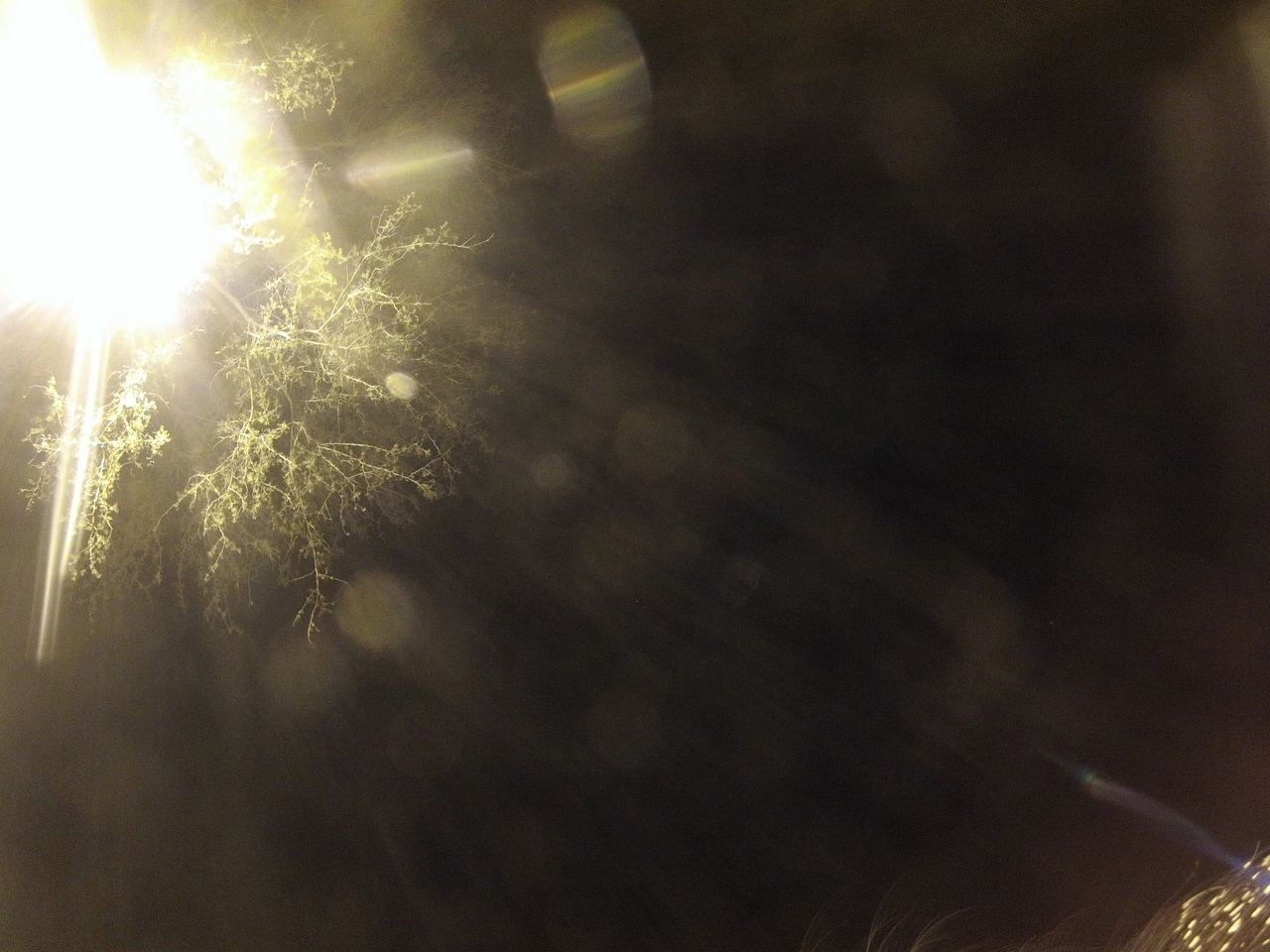 [13358] 2016_06_23_20_28_07_Africa_Hero3-Silver_Edition_IMG__01865.jpg