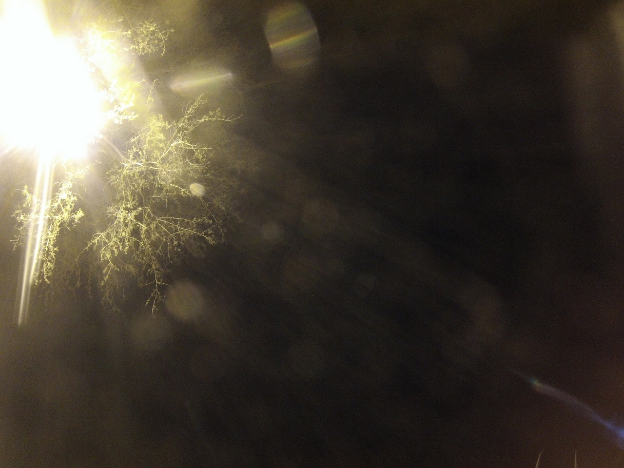 [13362] 2016_06_23_20_28_11_Africa_Hero3-Silver_Edition_IMG__01418.jpg