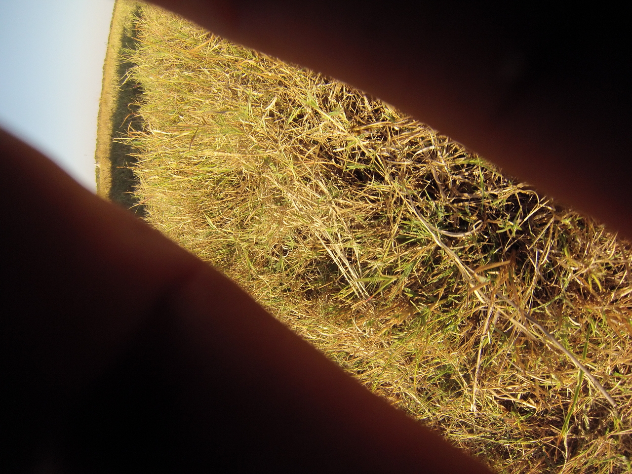 [25342] 2016_06_30_15_00_21_Africa_Hero3-Silver_Edition_IMG__00543.jpg