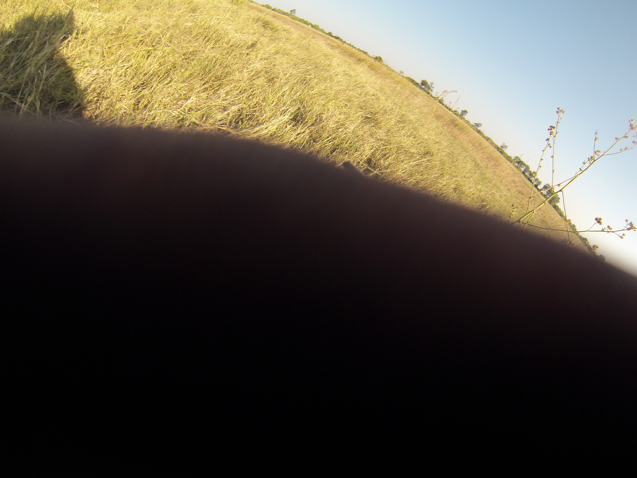 [25358] 2016_06_30_15_00_31_Africa_Hero3-Silver_Edition_IMG__01494.jpg