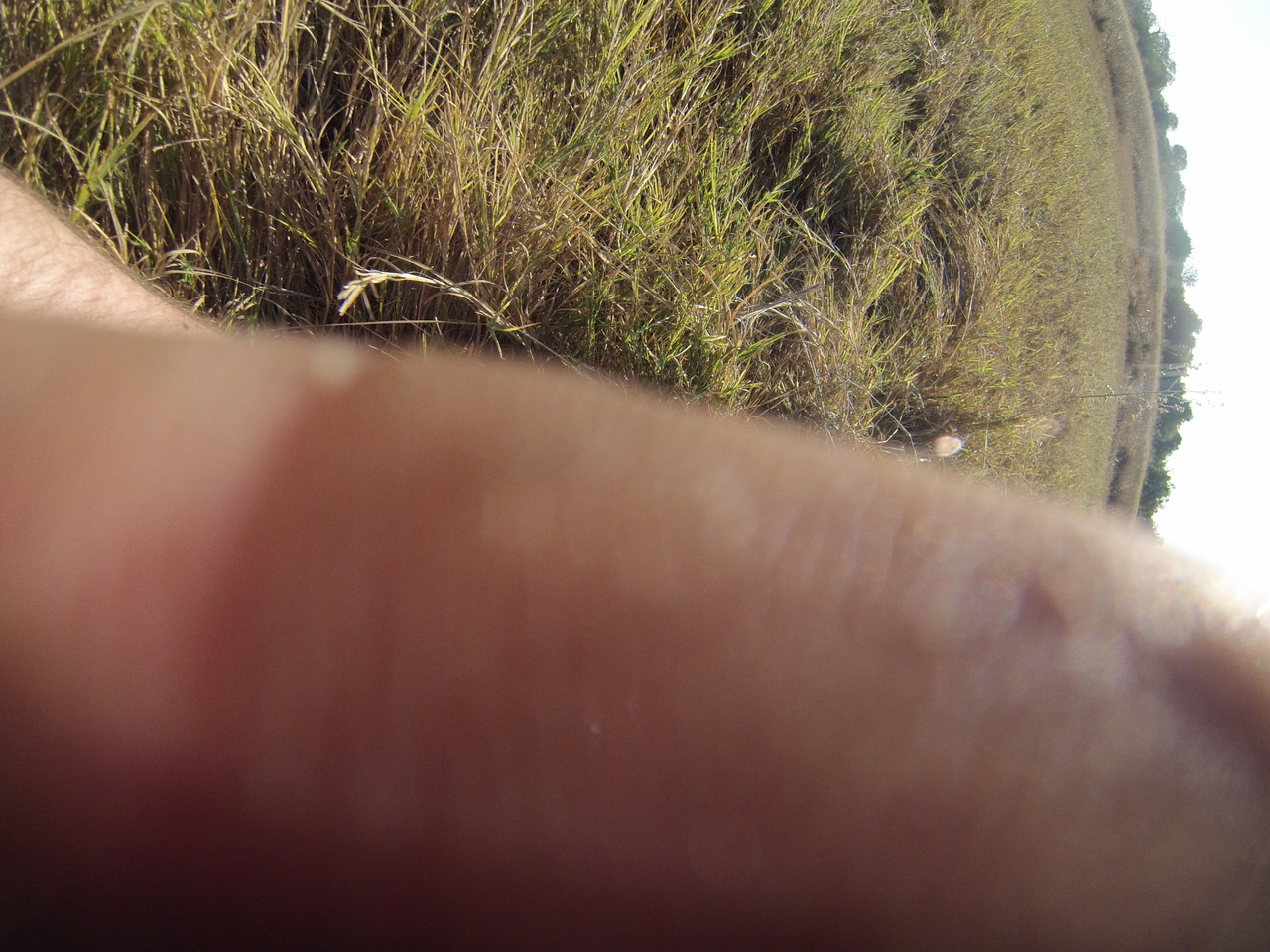 [25365] 2016_06_30_15_00_35_Africa_Hero3-Silver_Edition_IMG__01944.jpg