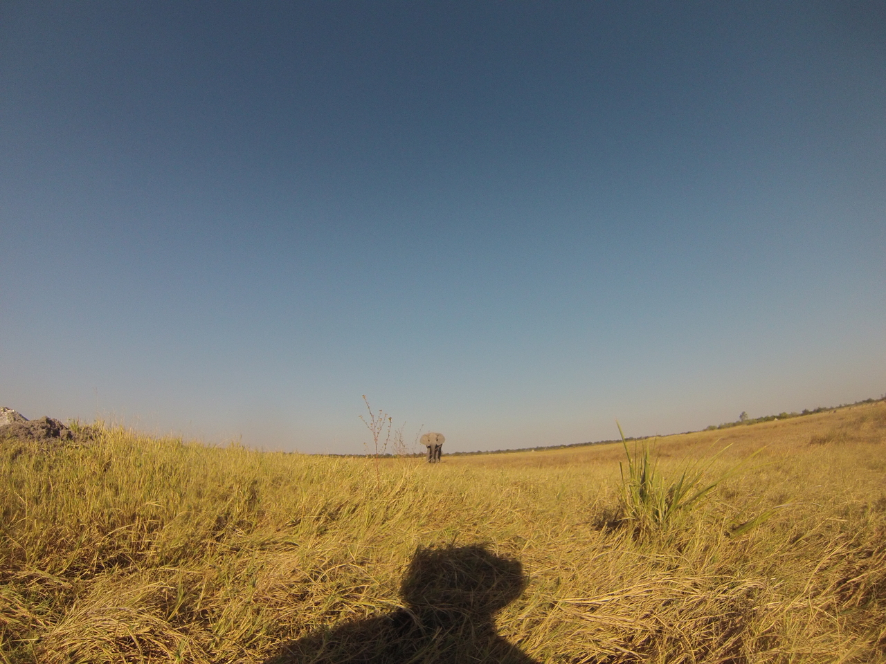 [25387] 2016_06_30_15_00_53_Africa_Hero3-Silver_Edition_IMG__00558.jpg