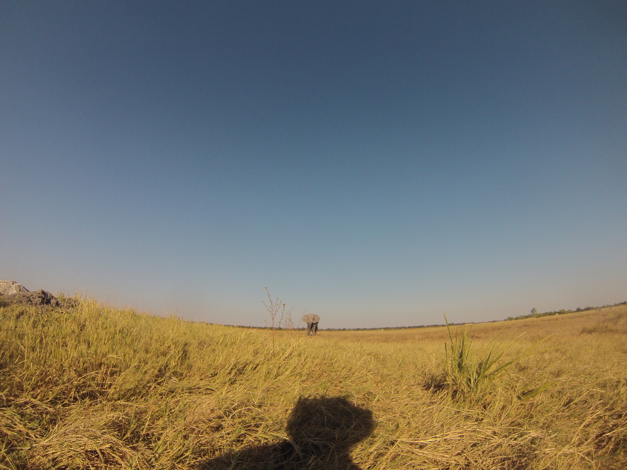 [25391] 2016_06_30_15_00_55_Africa_Hero3-Silver_Edition_IMG__01505.jpg