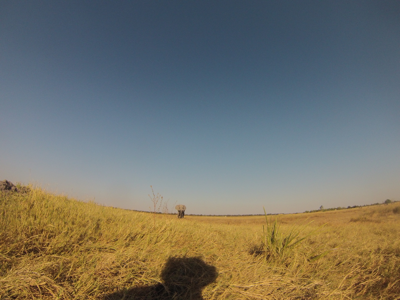 [25396] 2016_06_30_15_00_59_Africa_Hero3-Silver_Edition_IMG__00561.jpg