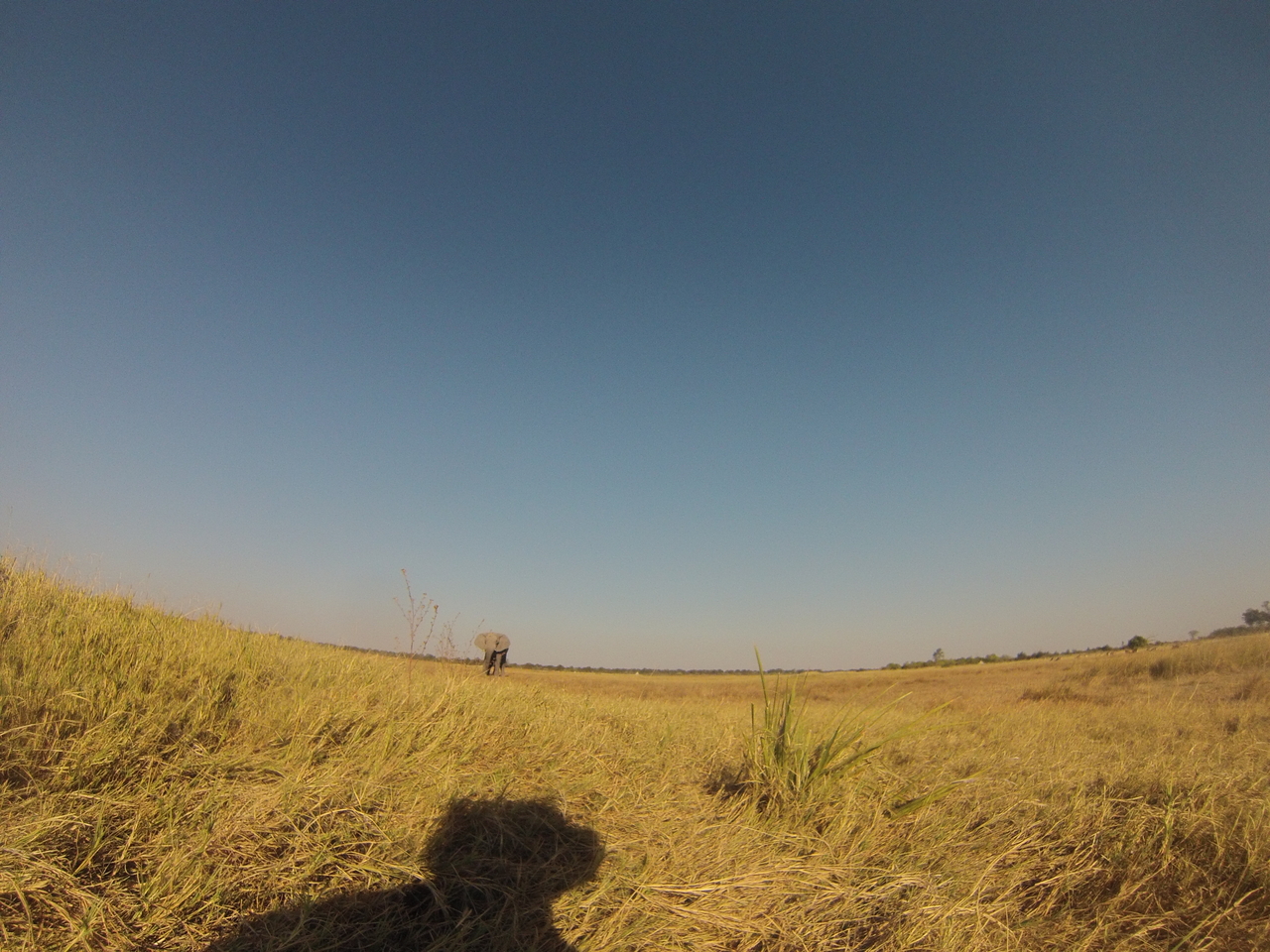 [25401] 2016_06_30_15_01_01_Africa_Hero3-Silver_Edition_IMG__01956.jpg