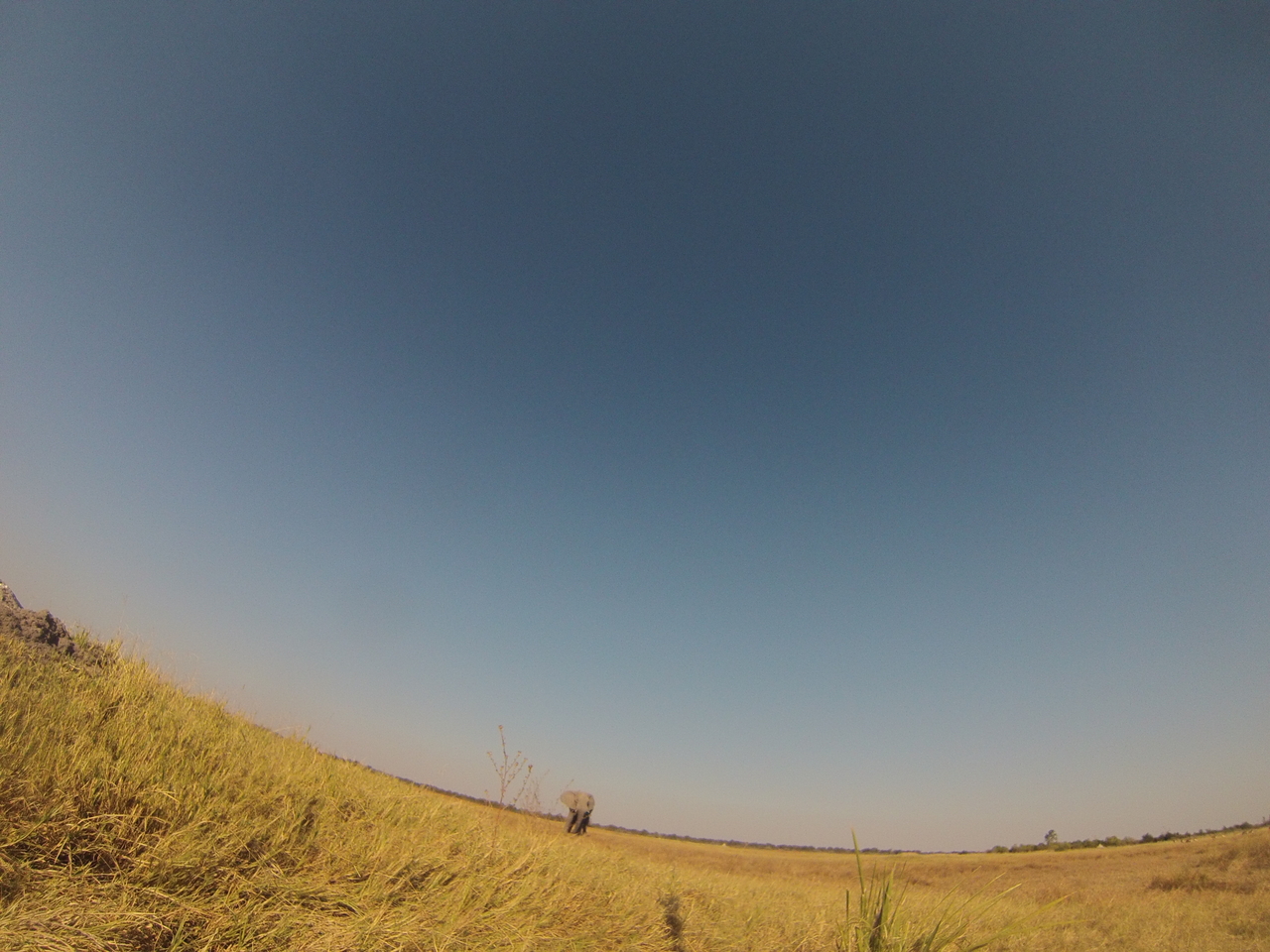 [25422] 2016_06_30_15_01_15_Africa_Hero3-Silver_Edition_IMG__01963.jpg