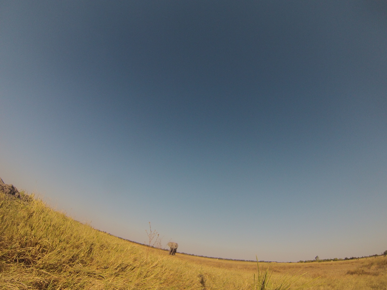 [25423] 2016_06_30_15_01_17_Africa_Hero3-Silver_Edition_IMG__00570.jpg