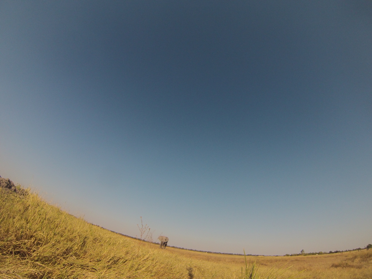 [25426] 2016_06_30_15_01_19_Africa_Hero3-Silver_Edition_IMG__00571.jpg