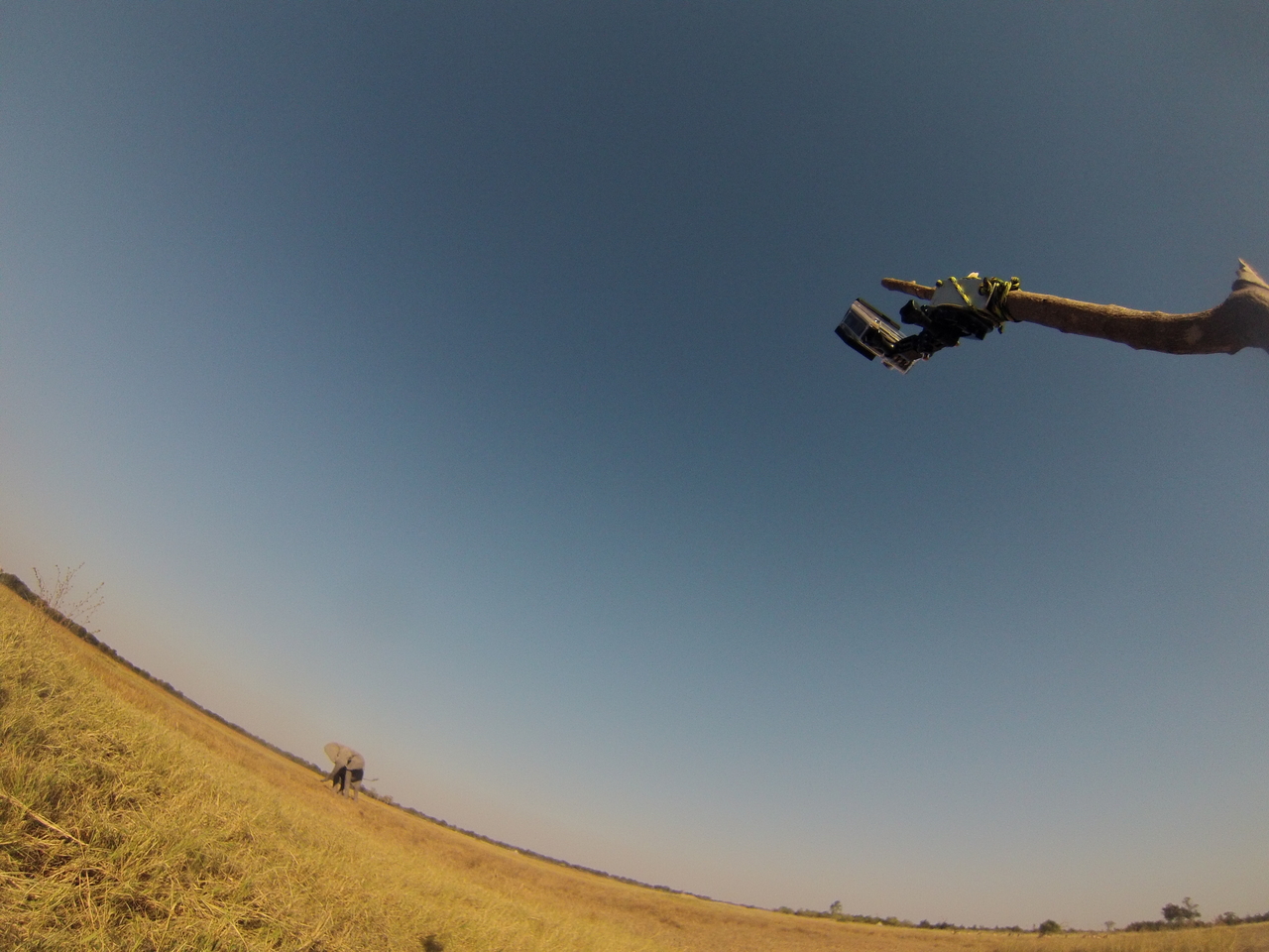 [25442] 2016_06_30_15_01_29_Africa_Hero3-Silver_Edition_IMG__01522.jpg