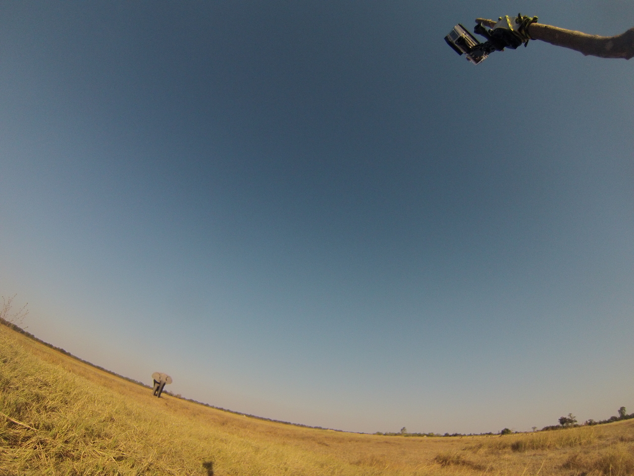 [25449] 2016_06_30_15_01_33_Africa_Hero3-Silver_Edition_IMG__01972.jpg