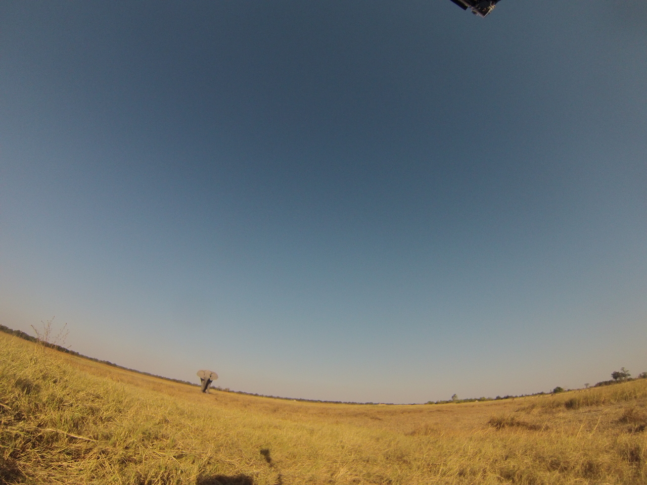 [25451] 2016_06_30_15_01_35_Africa_Hero3-Silver_Edition_IMG__01525.jpg