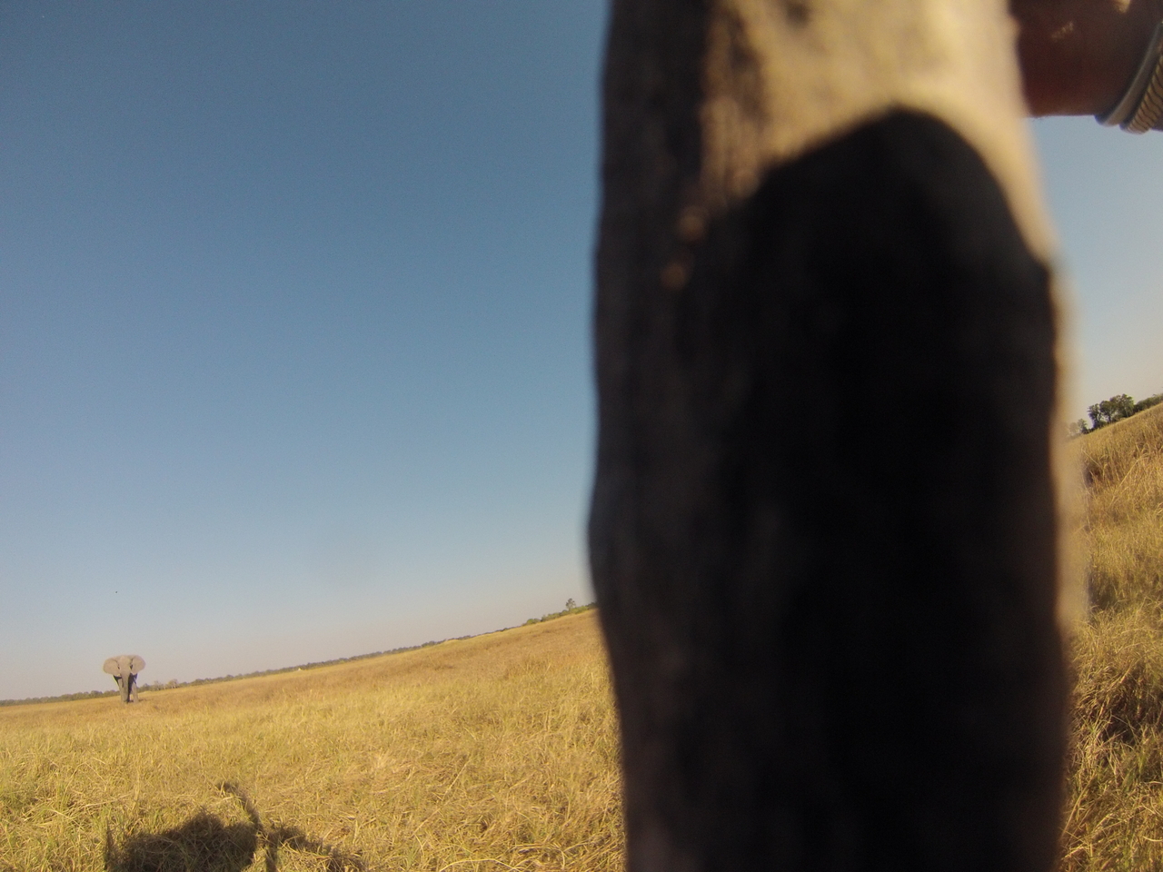 [25458] 2016_06_30_15_01_39_Africa_Hero3-Silver_Edition_IMG__01975.jpg