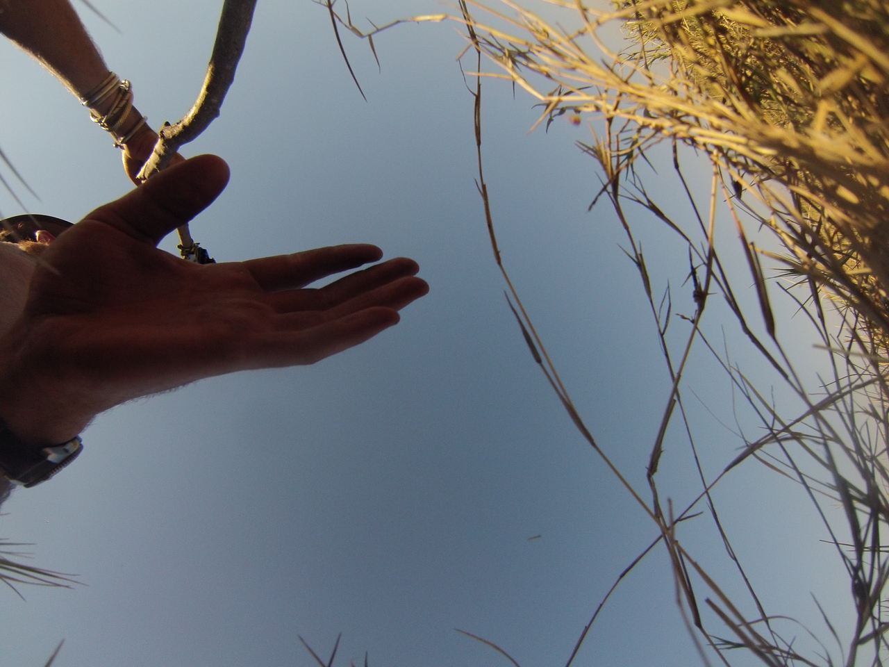 [25466] 2016_06_30_15_01_45_Africa_Hero3-Silver_Edition_IMG__01530.jpg