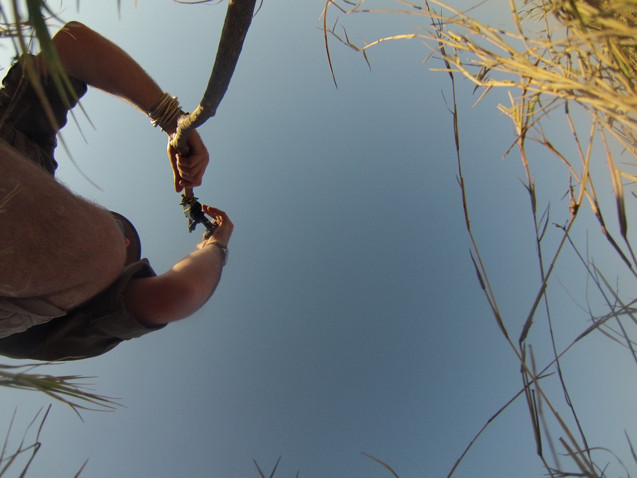 [25484] 2016_06_30_15_01_57_Africa_Hero3-Silver_Edition_IMG__01536.jpg