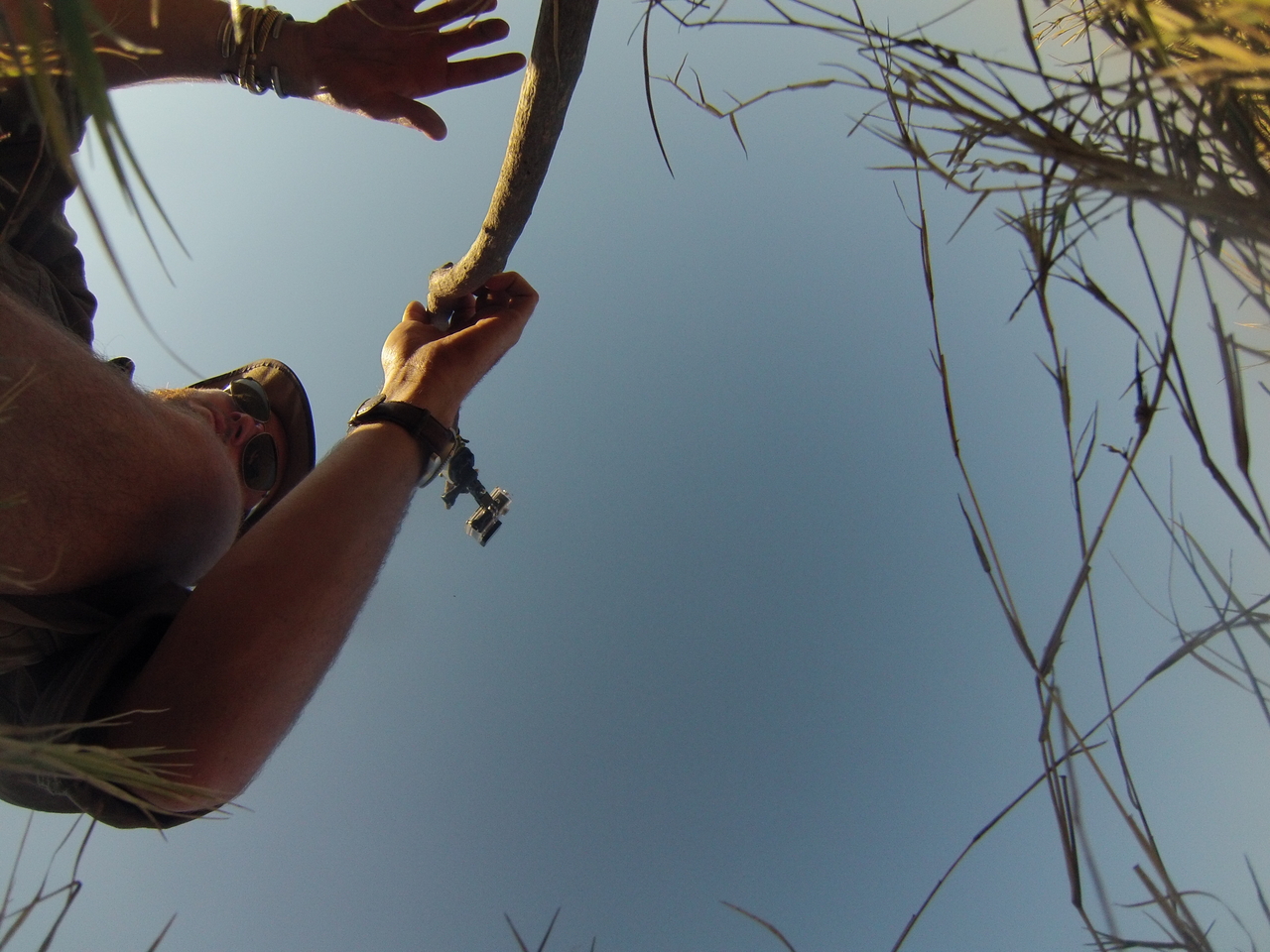 [25487] 2016_06_30_15_01_59_Africa_Hero3-Silver_Edition_IMG__01537.jpg