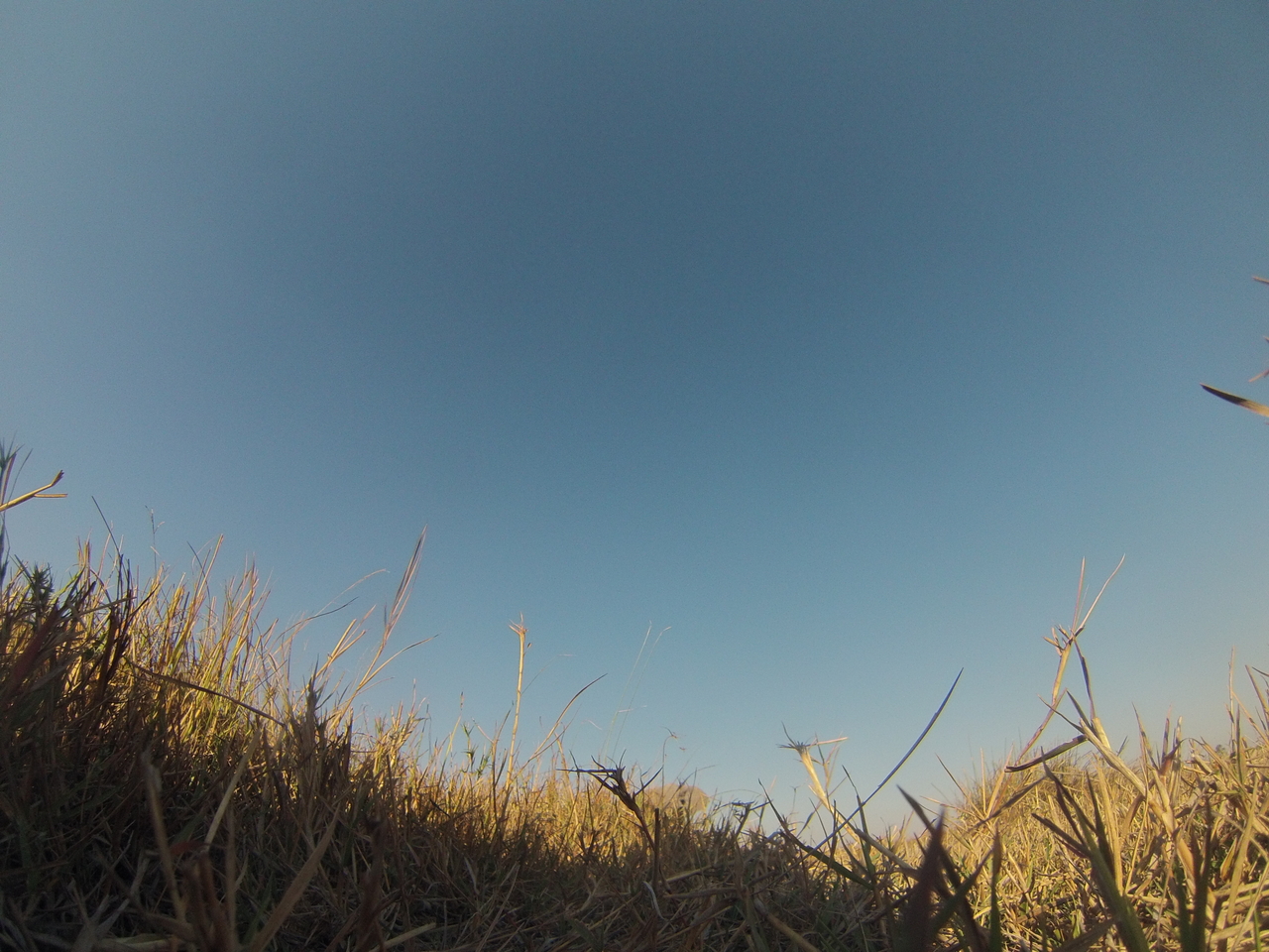 [25553] 2016_06_30_15_02_43_Africa_Hero3-Silver_Edition_IMG__01559.jpg