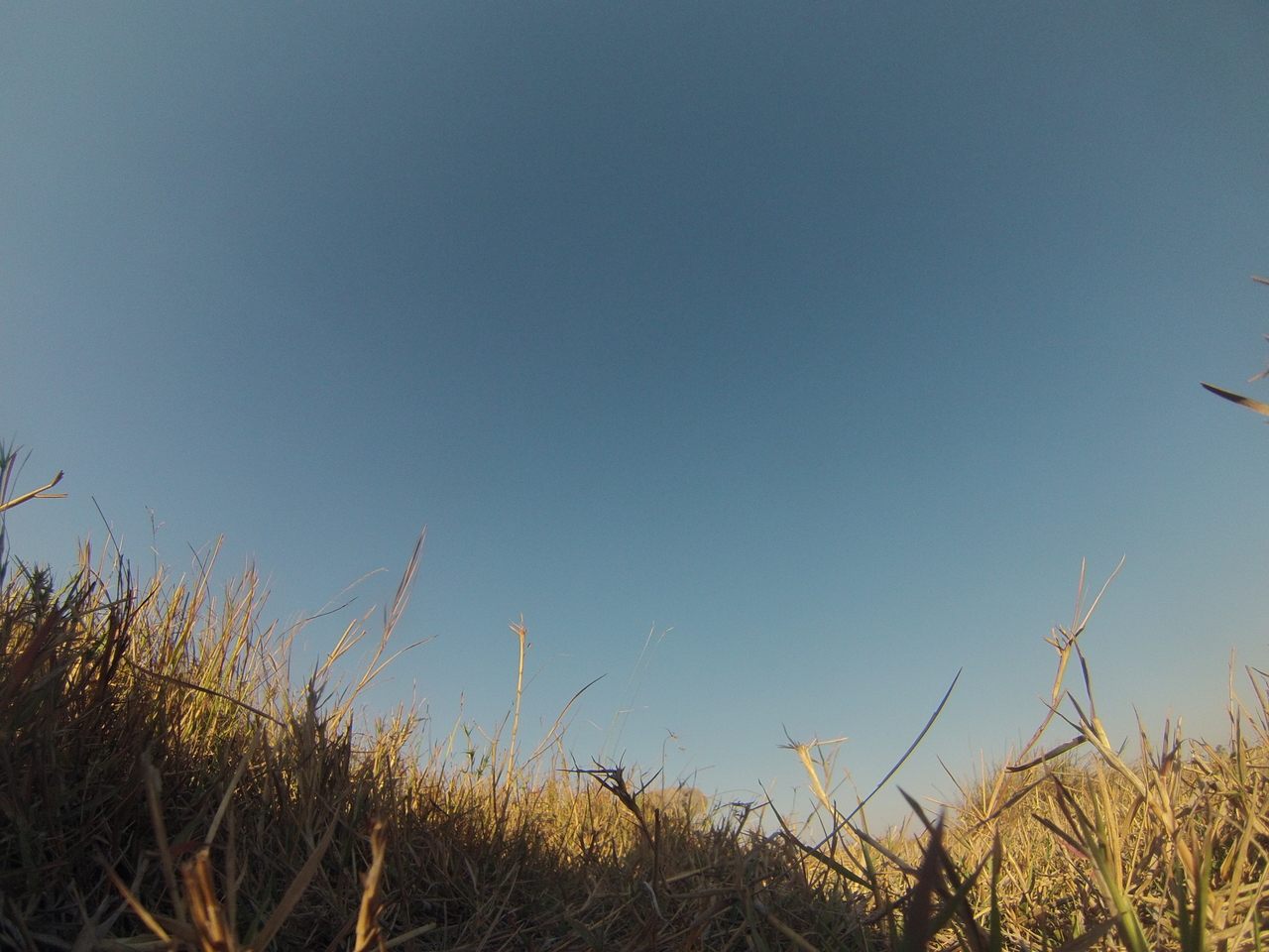 [25568] 2016_06_30_15_02_53_Africa_Hero3-Silver_Edition_IMG__01564.jpg