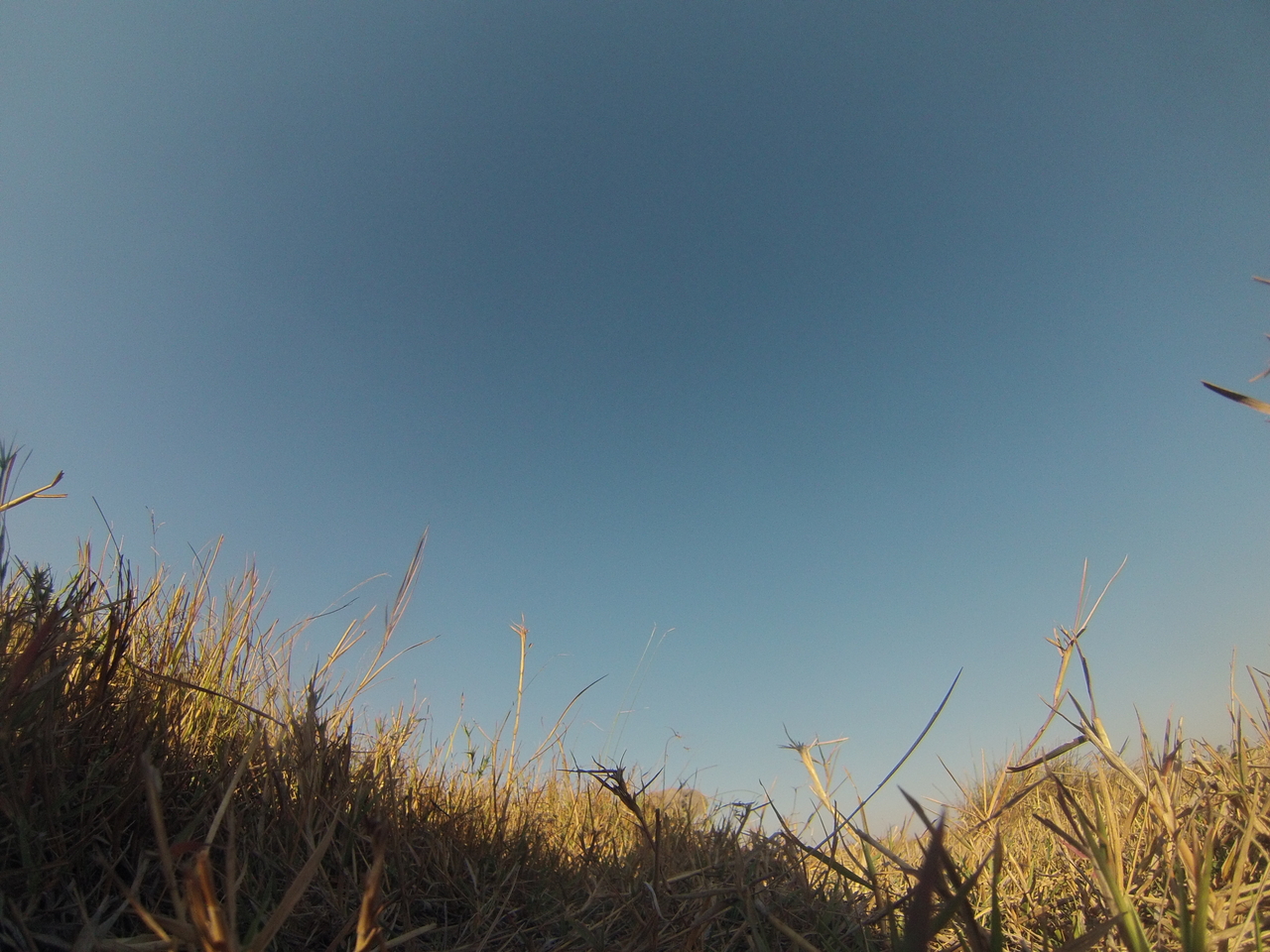 [25571] 2016_06_30_15_02_57_Africa_Hero3-Silver_Edition_IMG__01565.jpg