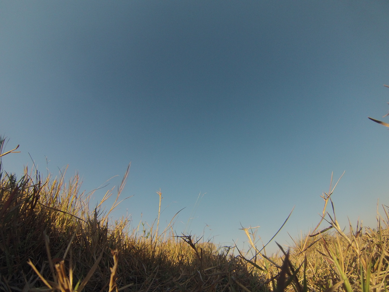 [25579] 2016_06_30_15_03_03_Africa_Hero3-Silver_Edition_IMG__00622.jpg