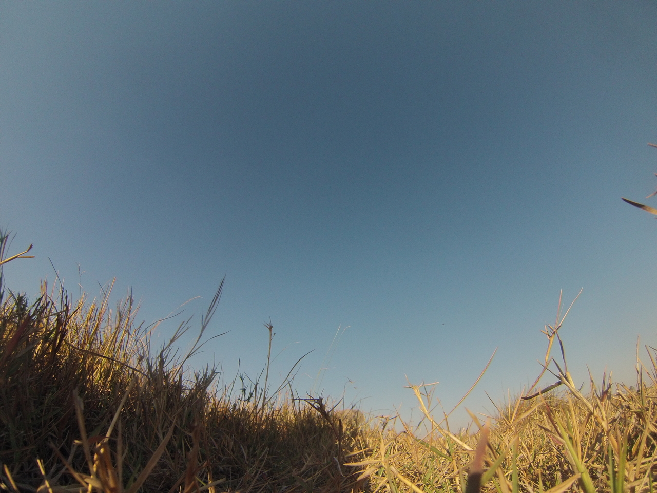 [25586] 2016_06_30_15_03_07_Africa_Hero3-Silver_Edition_IMG__01570.jpg