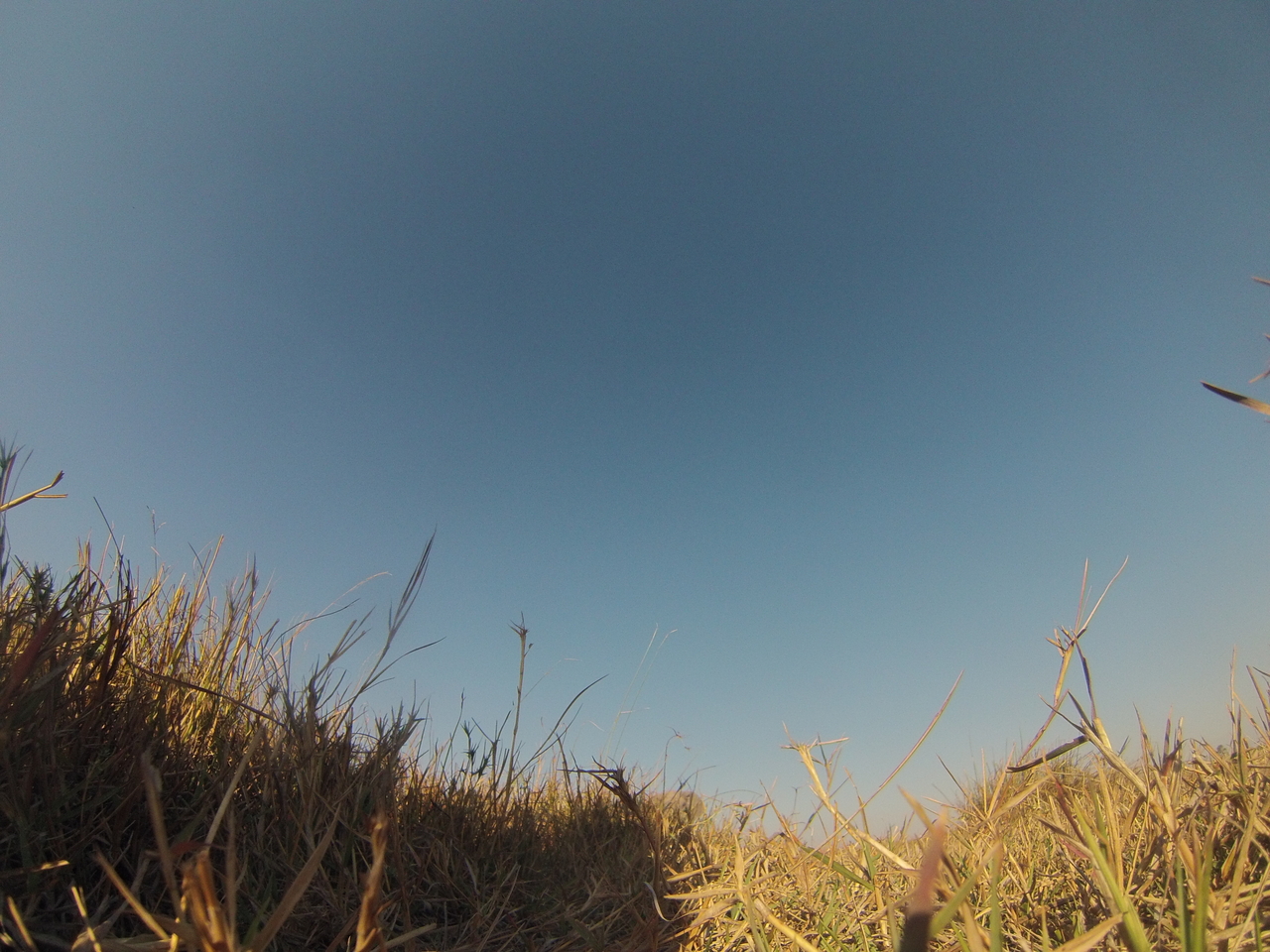 [25589] 2016_06_30_15_03_09_Africa_Hero3-Silver_Edition_IMG__01571.jpg