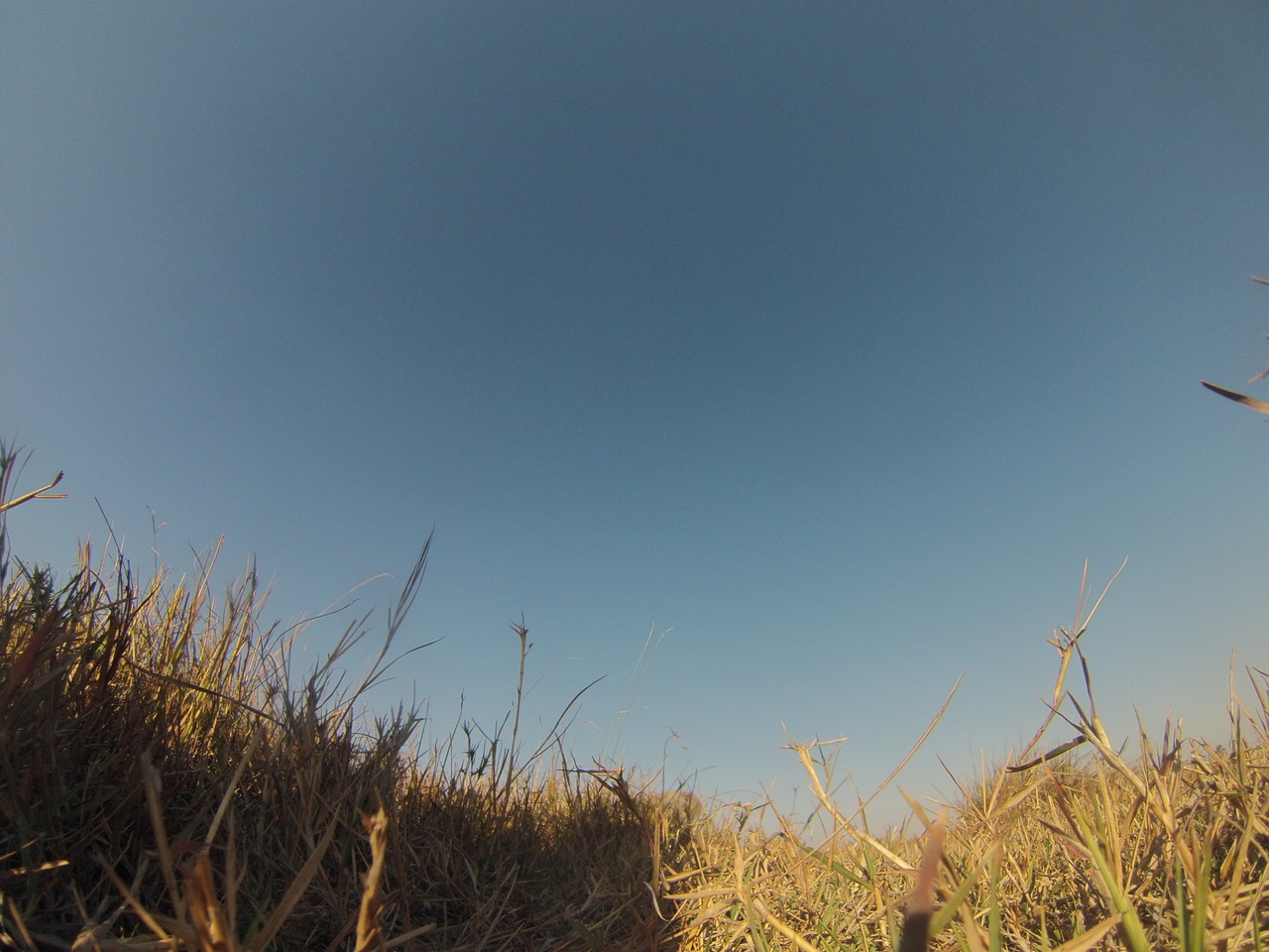 [25594] 2016_06_30_15_03_13_Africa_Hero3-Silver_Edition_IMG__00627.jpg