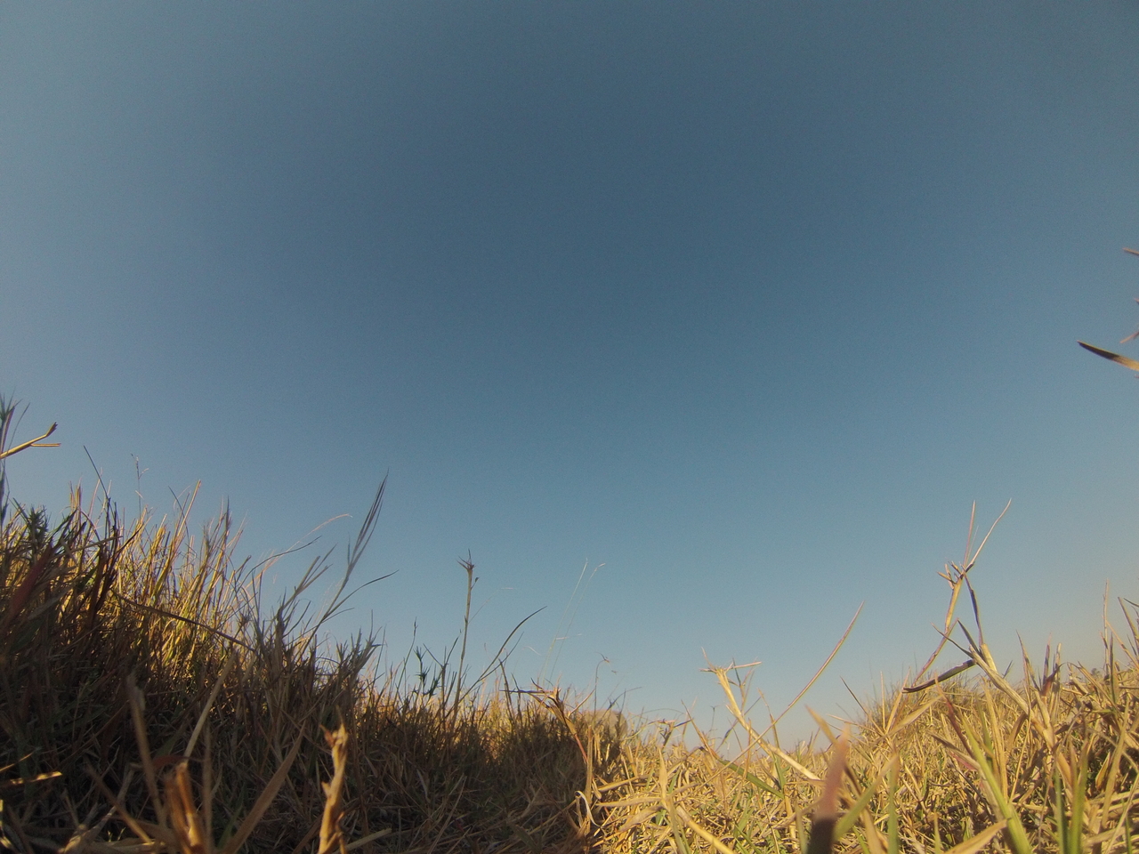 [25598] 2016_06_30_15_03_15_Africa_Hero3-Silver_Edition_IMG__01574.jpg