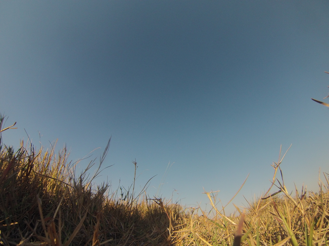 [25608] 2016_06_30_15_03_21_Africa_Hero3-Silver_Edition_IMG__02025.jpg