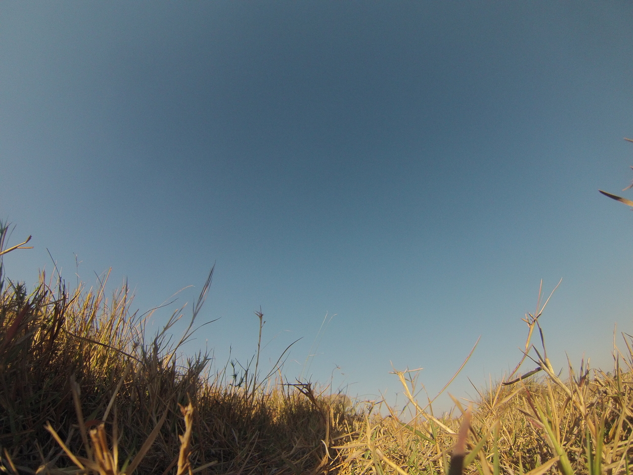 [25624] 2016_06_30_15_03_33_Africa_Hero3-Silver_Edition_IMG__00637.jpg