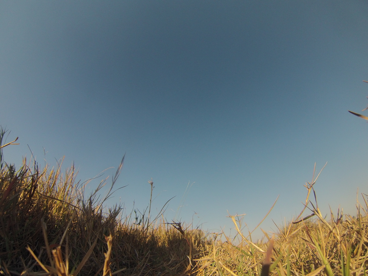 [25633] 2016_06_30_15_03_39_Africa_Hero3-Silver_Edition_IMG__00640.jpg