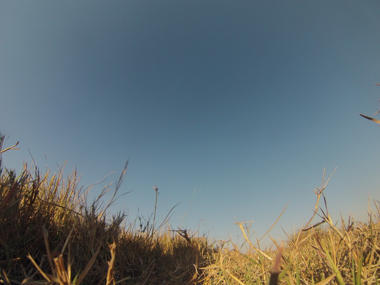 [25667] 2016_06_30_15_04_01_Africa_Hero3-Silver_Edition_IMG__01597.jpg