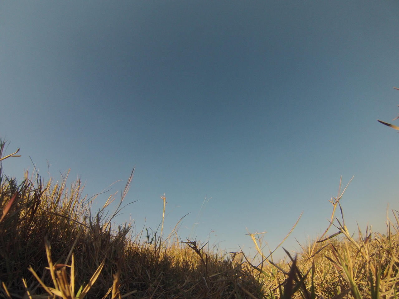 [25689] 2016_06_30_15_04_17_Africa_Hero3-Silver_Edition_IMG__02052.jpg