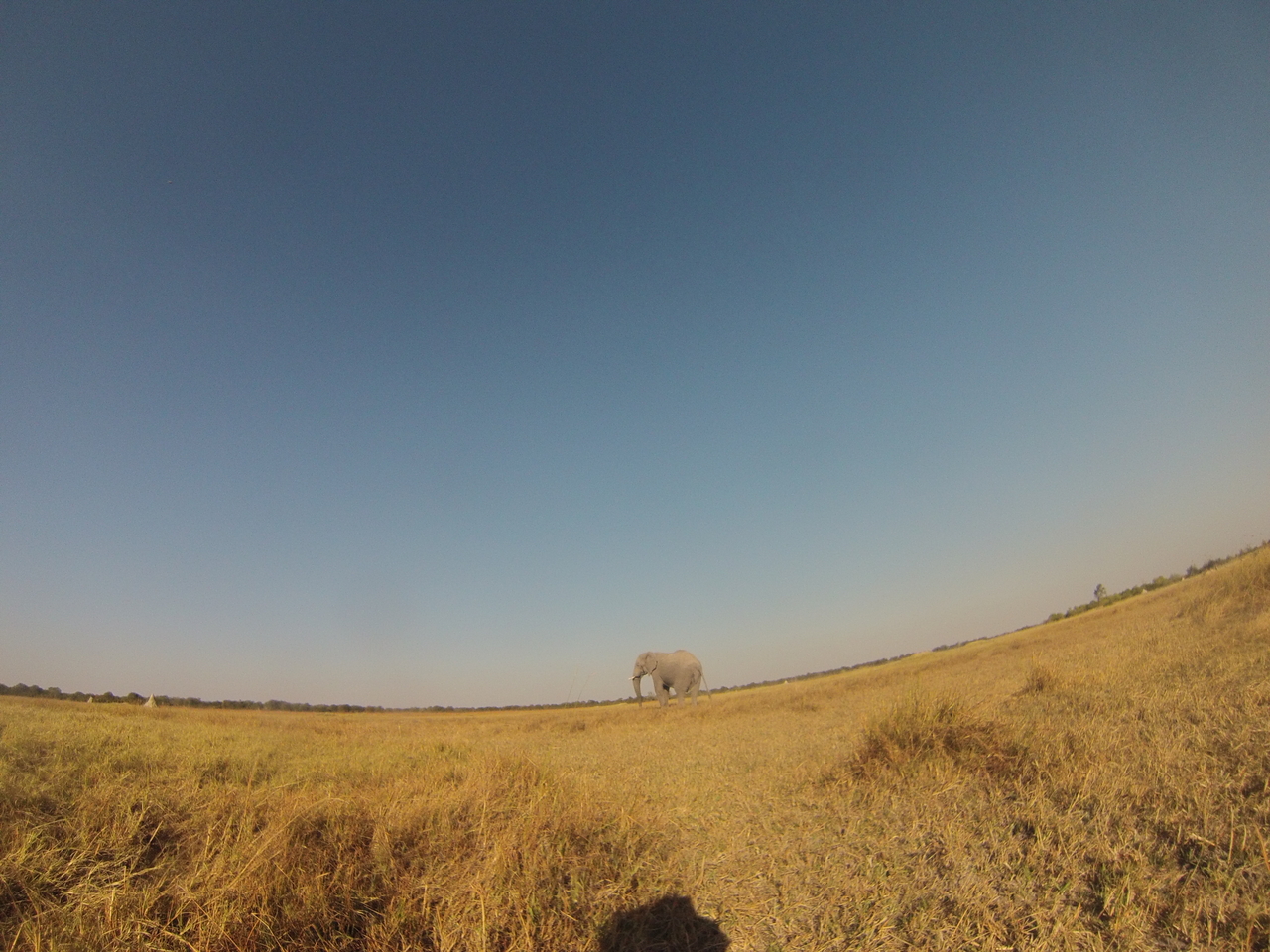 [25704] 2016_06_30_15_04_27_Africa_Hero3-Silver_Edition_IMG__02057.jpg