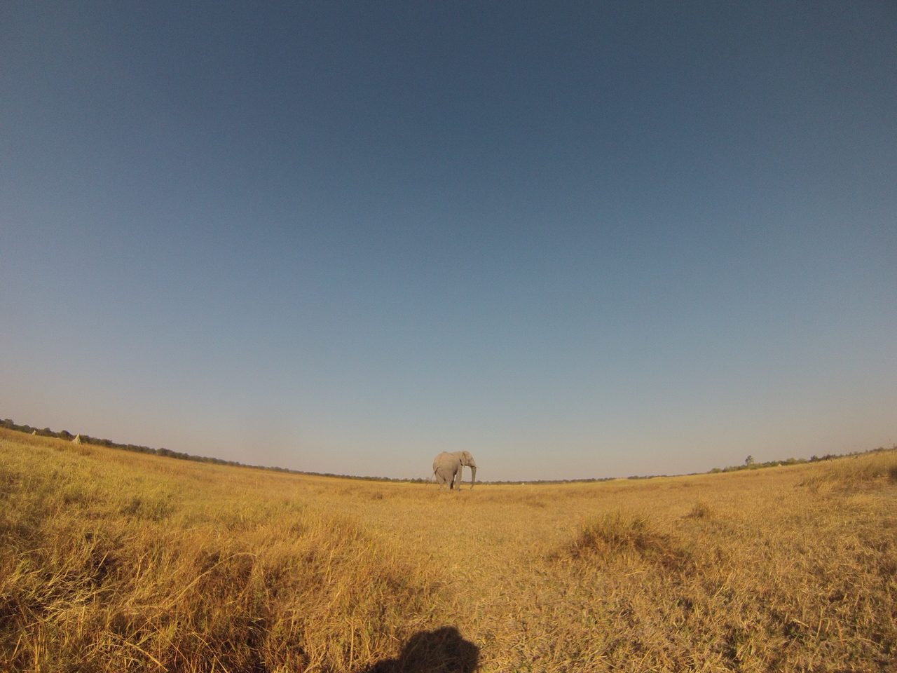 [25727] 2016_06_30_15_04_45_Africa_Hero3-Silver_Edition_IMG__01617.jpg