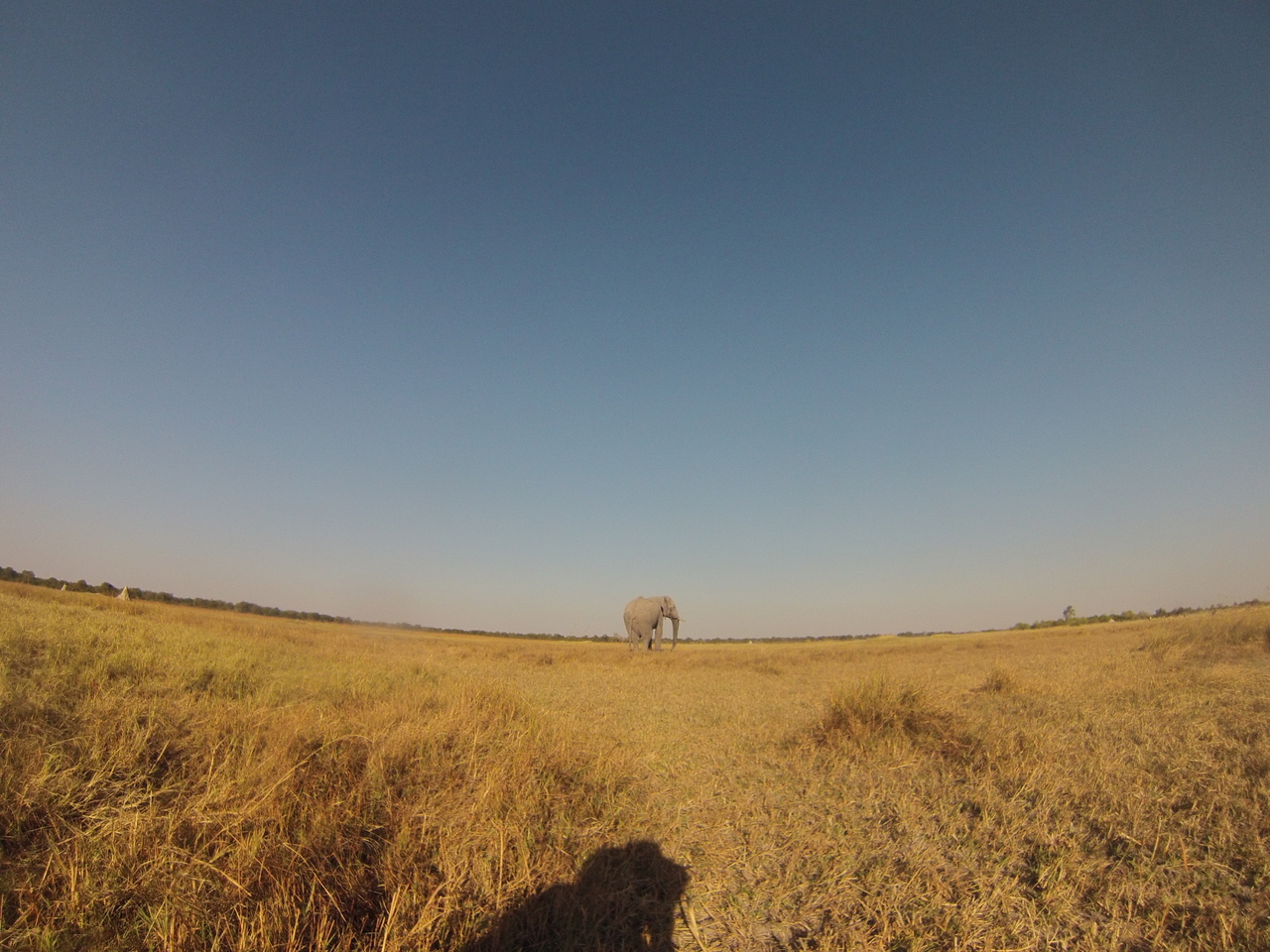 [25732] 2016_06_30_15_04_49_Africa_Hero3-Silver_Edition_IMG__00673.jpg