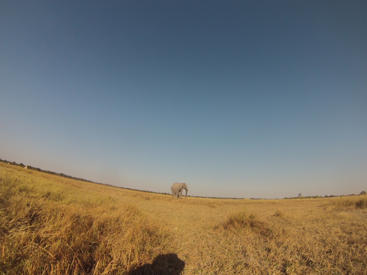 [25736] 2016_06_30_15_04_51_Africa_Hero3-Silver_Edition_IMG__01620.jpg